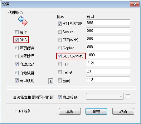启动DNS服务器和SOCKS代理
