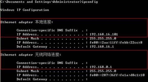 输入ipconfig查看TCP/IP属性